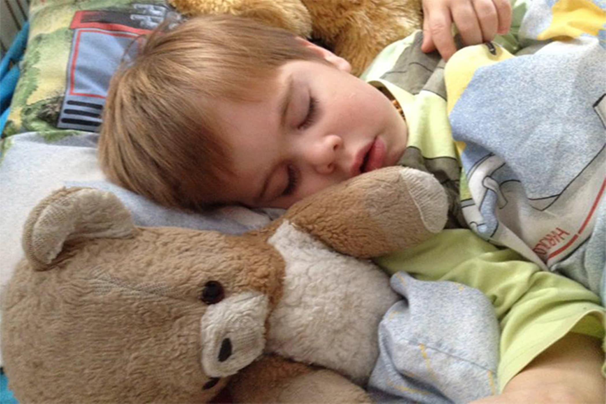 Comfort Objects and Attachment Parenting - La Leche League ...